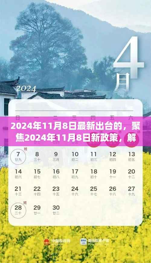 聚焦新政策,解读三项要点出炉,洞悉未来趋势——2024年11月8日最新政策解读标题