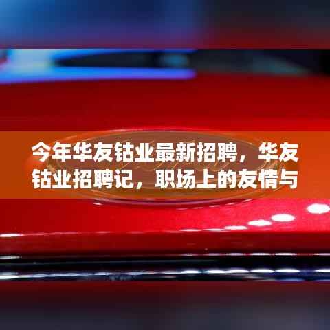 华友钴业最新招聘探秘,职场友情与家的温馨融合