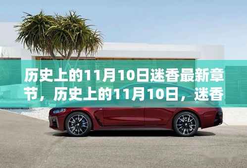 历史上的11月10日迷香揭秘,最新章节一览