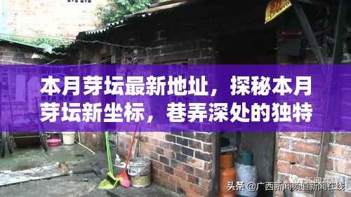探秘本月芽坛新坐标,巷弄深处的独特小店最新地址揭秘