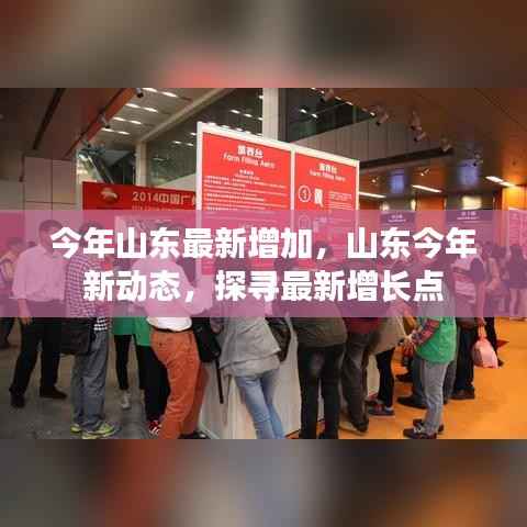 山东今年新动态揭秘,探寻最新增长点的力量源泉