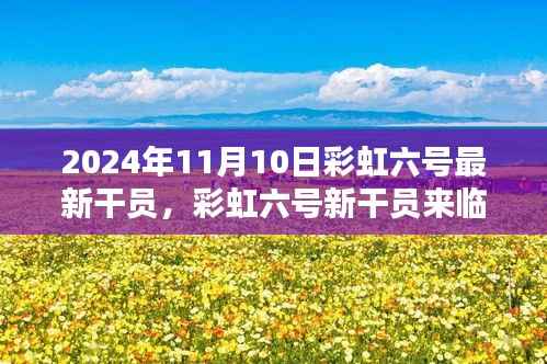 彩虹六号新干员温馨降临,友情与陪伴的篇章(2024年11月10日最新资讯)
