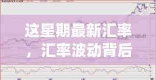 本周汇率波动背后的暖心故事与日常小趣事