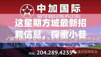 政策法规 第260页