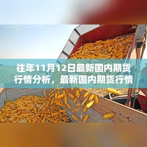 最新国内期货行情分析指南,针对初学者与进阶用户的期货行情步骤解析(往年11月12日版)