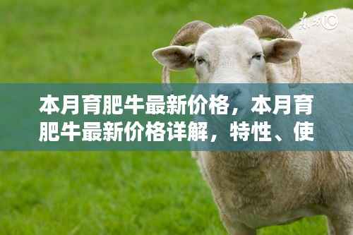 本月育肥牛价格详解,特性、体验、竞品对比及用户群体分析