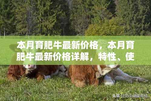 本月育肥牛价格详解,特性、体验、竞品对比及用户群体分析