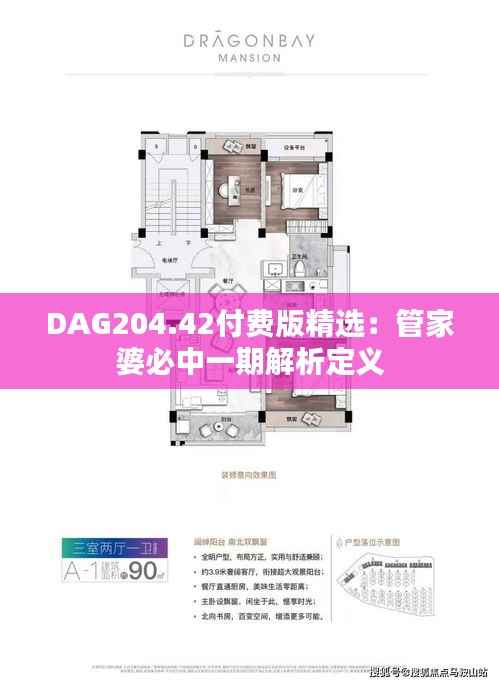 DAG204.42付费版精选:管家婆必中一期解析定义