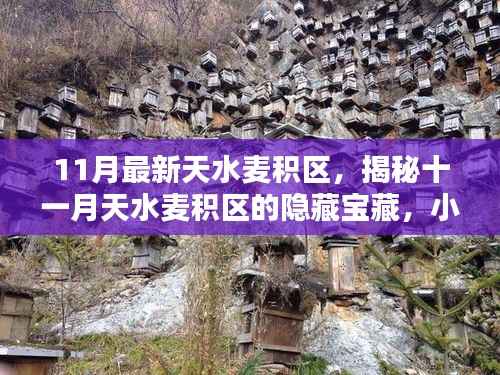 揭秘天水麦积区隐藏宝藏,十一月特色小店探秘