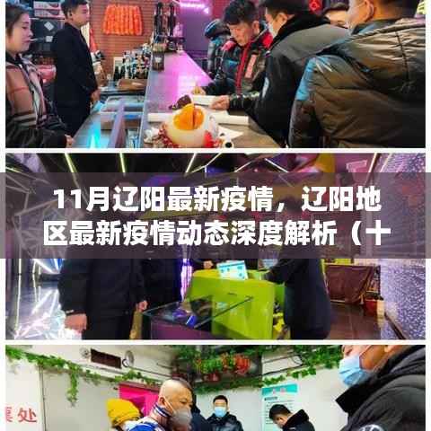 辽阳地区最新疫情动态深度解析,十一月疫情报告