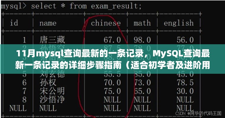 MySQL查询最新记录步骤详解,从初学者到进阶用户的指南