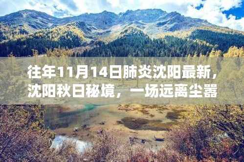 沈阳秋日秘境,肺炎时期的自然探索之旅