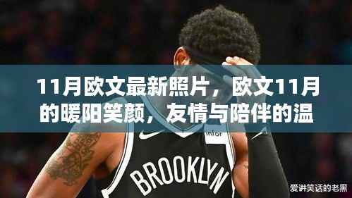 欧文11月温馨日常,阳光笑颜与友情陪伴的时光