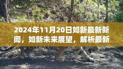 2024年如新最新新闻动态及未来展望,解析最新动态与观点分歧