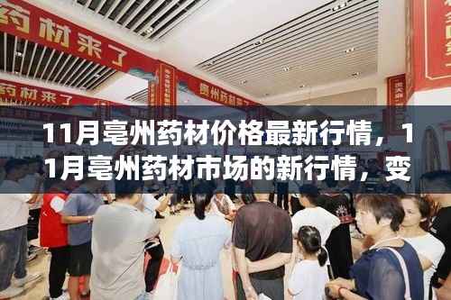 11月亳州药材市场最新行情,变化中的学习,成就感的源泉