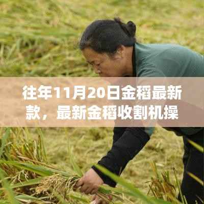 最新金稻收割机操作指南,从初学者到进阶用户的必备教程(往年11月20日新款)