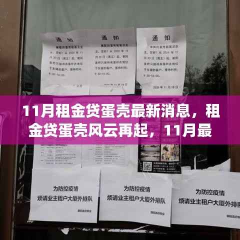 租金贷蛋壳风云再起,深度解析蛋壳最新消息与11月最新进展