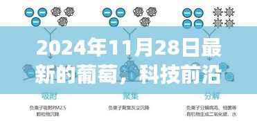 葡萄科技革新之旅,最新葡萄科技新品亮相