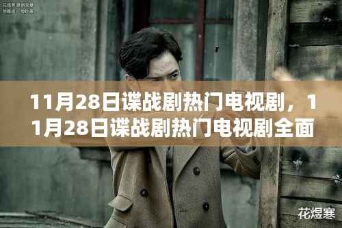 11月28日谍战剧热门电视剧,全面测评与介绍