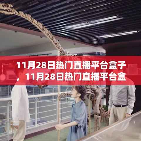 11月28日热门直播平台盒子,学习、自信与梦想成就之路