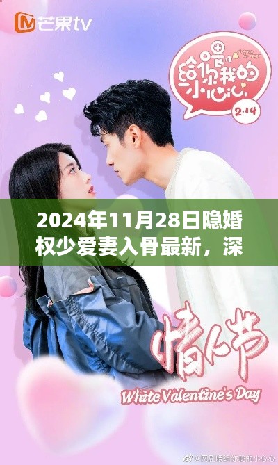 隐婚权少爱妻入骨深度解析与最新体验报告(2024年11月28日)