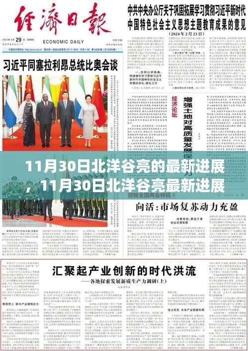 11月30日北洋谷亮最新进展报告,揭秘最新动态与成果展示