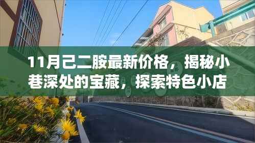 揭秘小巷深处的宝藏,特色小店己二胺最新价格与独特环境探索