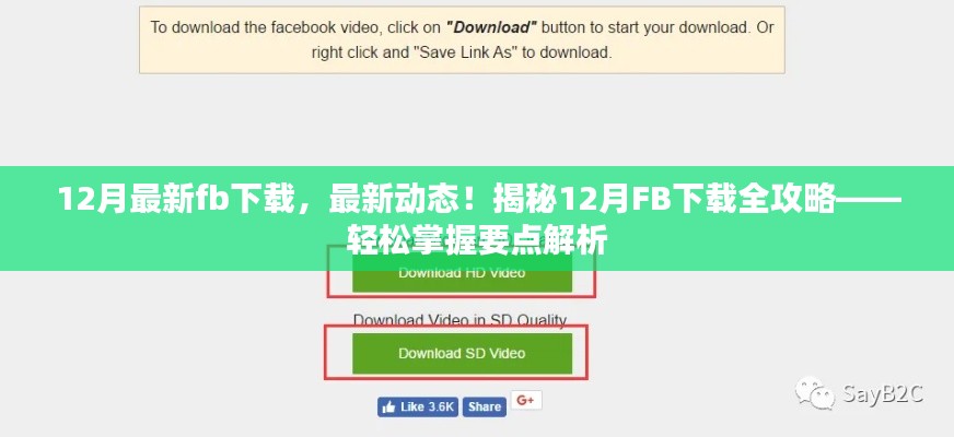 揭秘,最新动态下的FB下载全攻略,轻松掌握要点解析