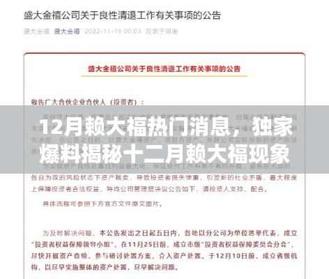 独家爆料揭秘,十二月赖大福现象背后的故事与热门消息全解析