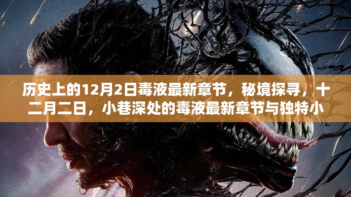 秘境探寻,毒液最新章节与独特小店的奇妙邂逅在十二月二日