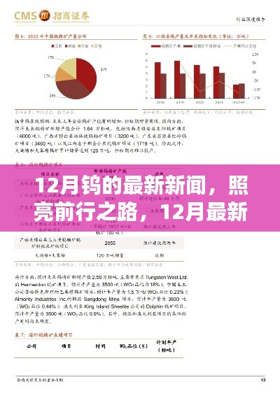 12月钨的最新动态,照亮前行之路的深度测评与产品介绍
