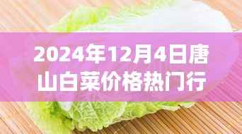 唐山白菜情缘,冬日蔬菜市场的温情故事与白菜价格行情解析
