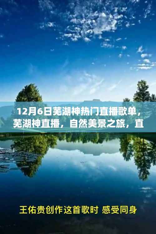 芜湖神直播,自然美景之旅歌单,带你远离尘嚣,寻找内心平静的时刻