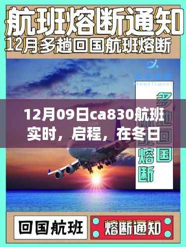 冬阳下的奇妙之旅,CA830航班探寻内心宁静的启程