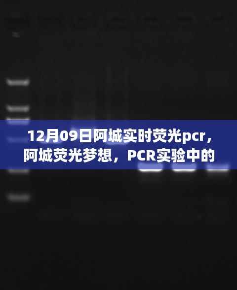 阿城荧光梦想,PCR实验中的励志之旅,开启自信与成就之门
