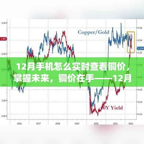 12月实时铜价监控,掌握未来,拥抱变化!