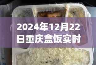 重庆盒饭实时报价查询,味蕾与时代的交响盛宴(2024年12月22日)