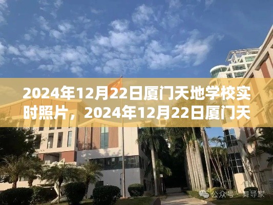 一窥厦门天地学校实时美景,2024年12月22日校园风光纪实