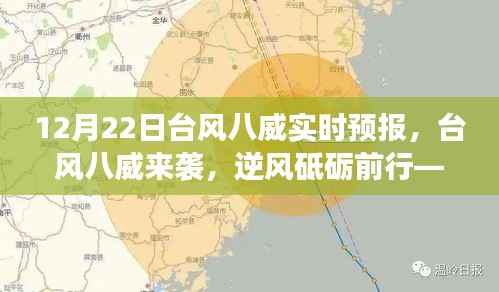 台风八威来袭，逆风砥砺前行，实时预报与学习成长之旅