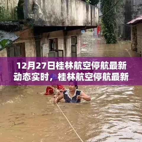 桂林航空停航最新动态实时解析与案例分析,深度探讨航班停航背后的原因和影响