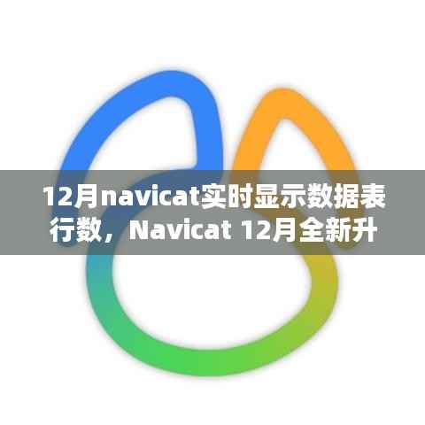Navicat 12月升级亮点，实时数据表行数显示，科技助力数据管理便捷性