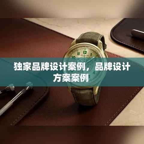 独家品牌设计案例,品牌设计方案案例