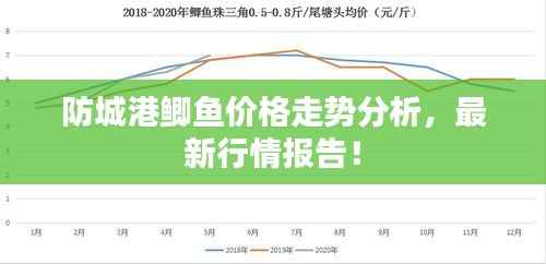 防城港鲫鱼价格走势分析，最新行情报告！