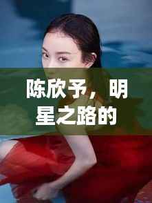 陈欣予,明星之路的闪耀之旅