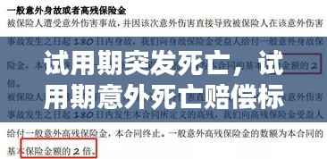 衣不兼彩 第2页