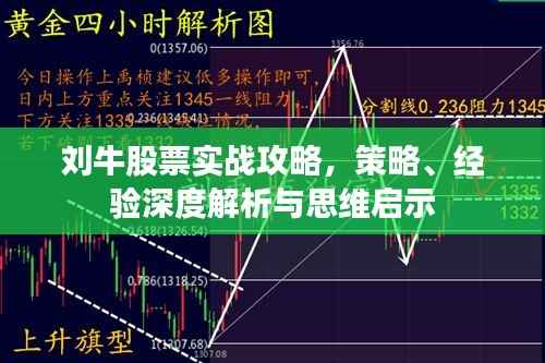 刘牛股票实战攻略,策略、经验深度解析与思维启示