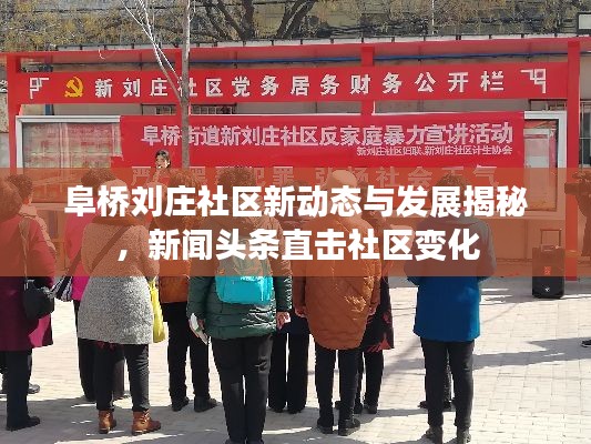 阜桥刘庄社区新动态与发展揭秘,新闻头条直击社区变化