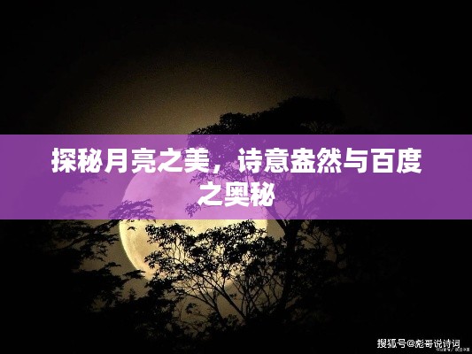 政策法规 第103页