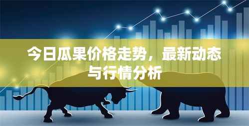 今日瓜果价格走势,最新动态与行情分析