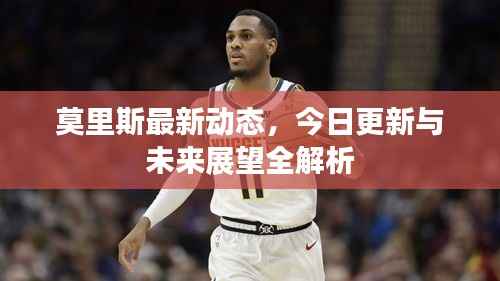 莫里斯最新动态,今日更新与未来展望全解析
